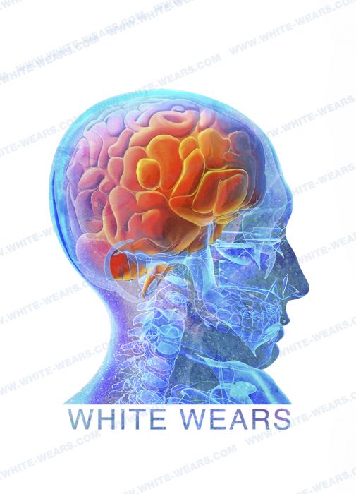 картинка Футболка мужская белая с принтом "Мозг" от интернет магазина